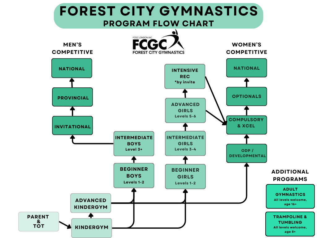 FCGC Program Flow chart